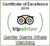 Gentle Giants earns 2016 TripAdvisor Certificate of Excellence